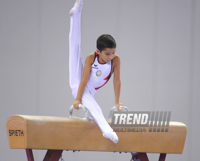 Kişi idman gimnastikası üzrə 22-ci Bakı Çempionatı və Birinciliyi. Bakı, Azərbaycan, 02 oktyabr 2015